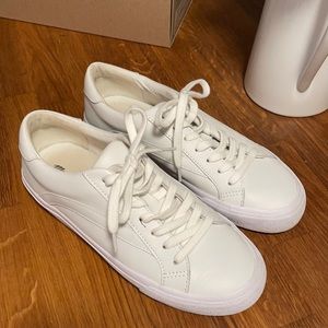 Madewell sidewalk sneakers in leather